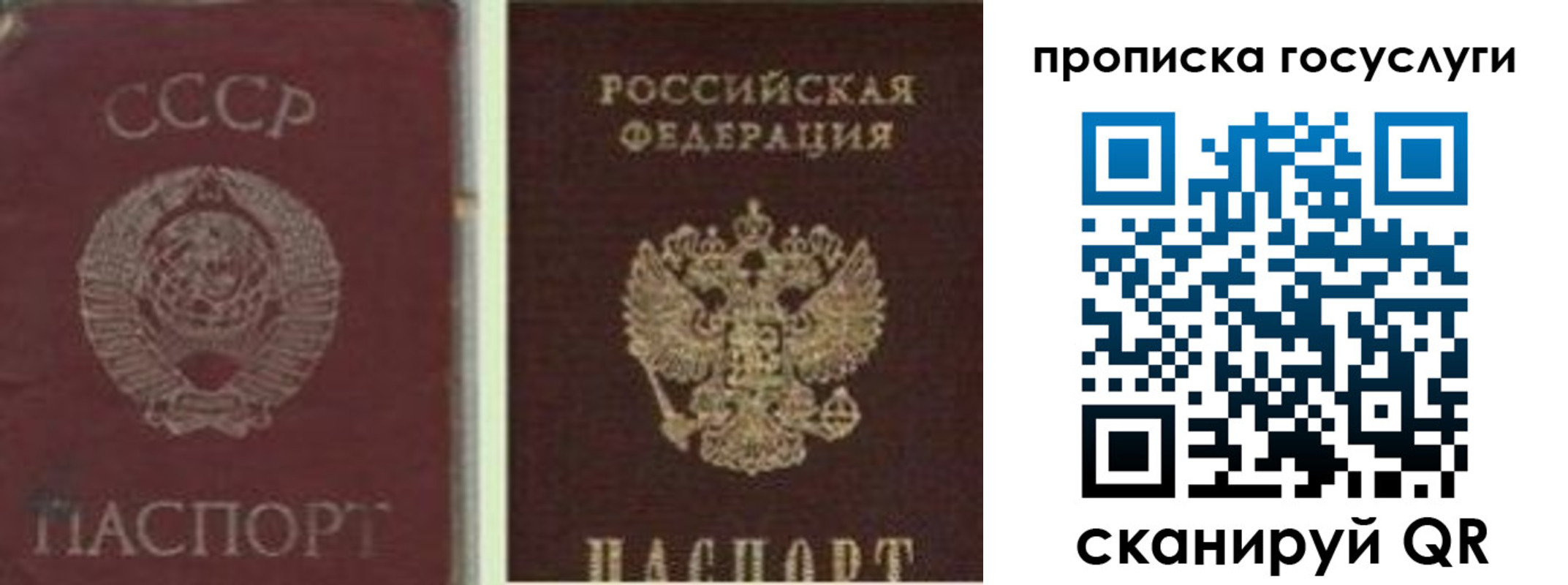 временная регистрация 2025 в Фрязино